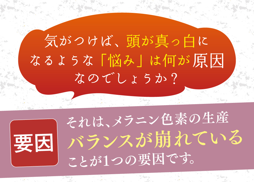 気がつけば、頭が真っ白になるような「悩み」は何が原因なのでしょうか？それは、メラニン色素の生産バランスが崩れていることが１つの要因です。