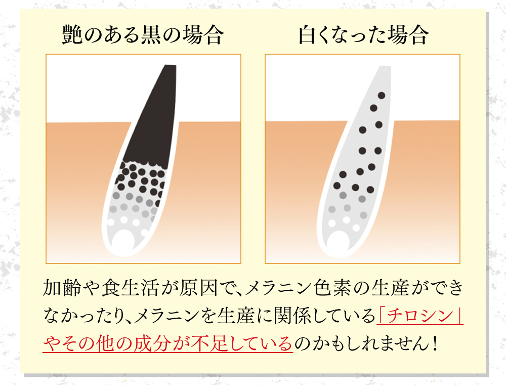 加齢や食生活が原因で、メラニン色素の生産ができなかったり、メラニンを生産に関係している「チロシン」やその他の成分が不足しているのかもしれません！