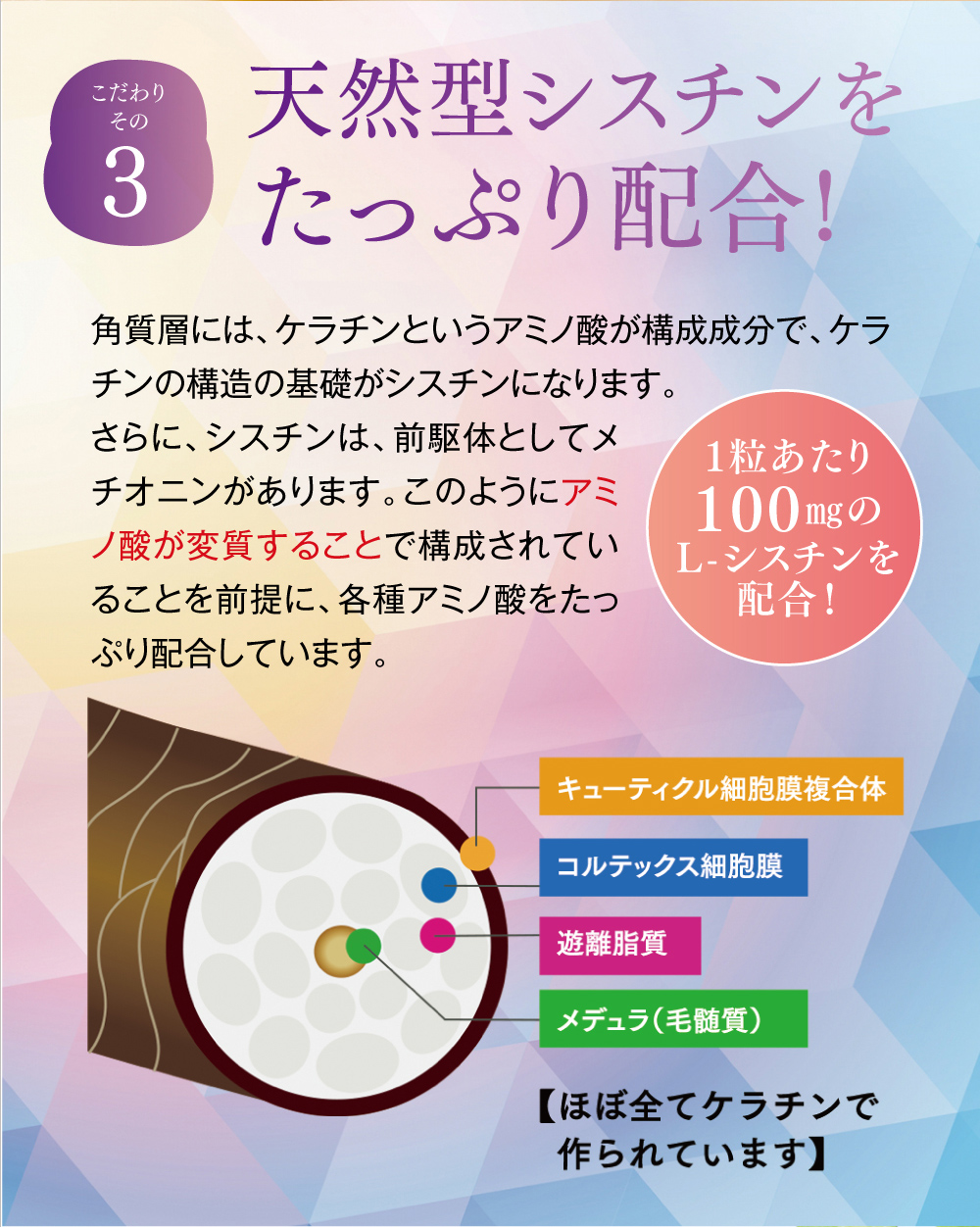 【こだわりその３】天然型シスチンをたっぷり配合!（1粒あたり100㎎のL-シスチンを配合！）。角質層には、ケラチンというアミノ酸が構成成分で、ケラチンの構造の基礎がシスチンになります。さらに、シスチンは、前駆体としてメチオニンがあります。このようにアミノ酸が変質することで構成されていることを前提に、各種アミノ酸をたっぷり配合しています。