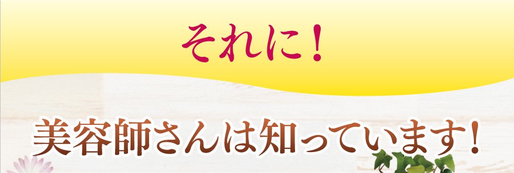 それに！美容師さんは知っています！