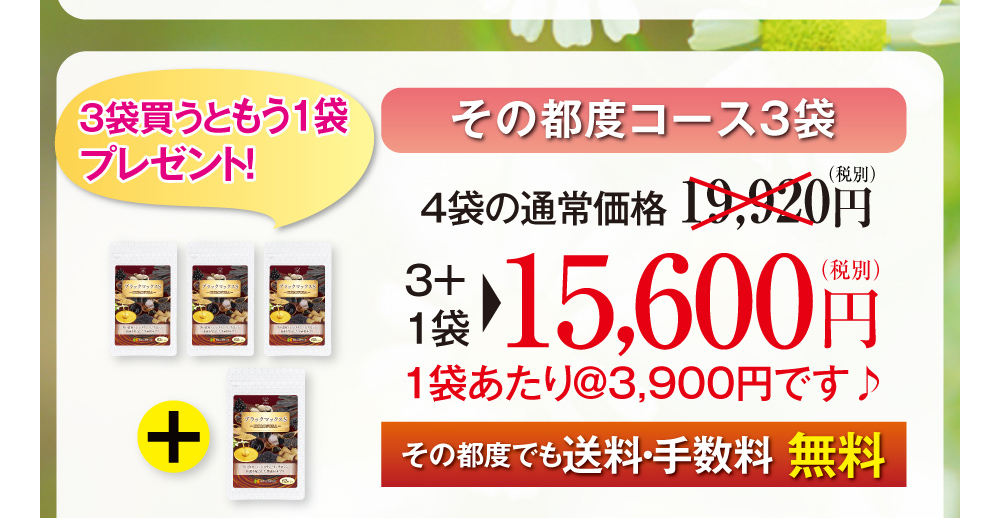 その都度コース3袋　3袋買うと1袋プレゼント!　4袋15,600円（税別・送料無料）※1袋あたり3,900円とお得！