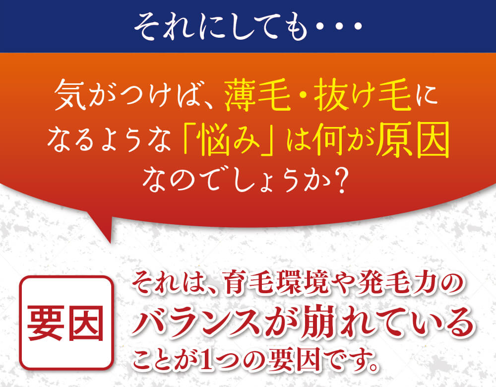 それにしても・・・気がつけば、薄毛・抜け毛になるような「悩み」は何が原因なのでしょうか？それは、育毛環境や発毛力のバランスが崩れていることが１つの要因です。