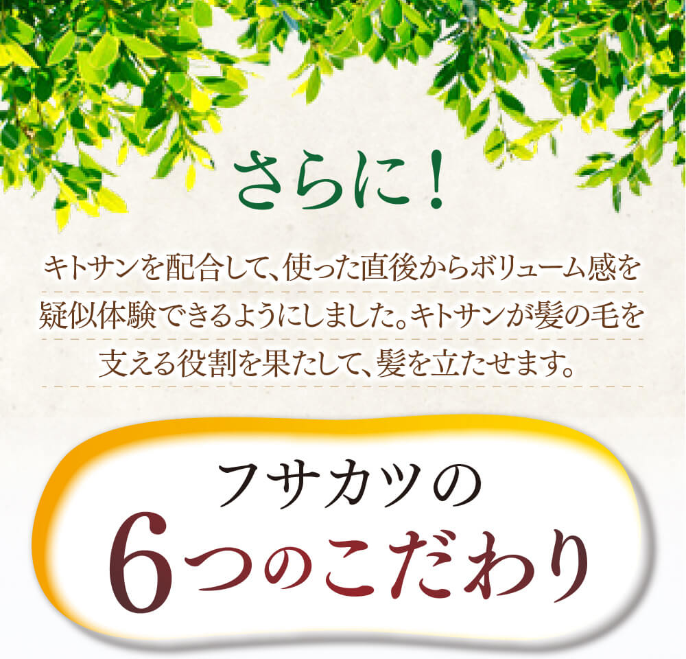 さらに！キトサンを配合して、使った直後からボリューム感を疑似体験できるようにしました。キトサンが髪の毛を支える役割を果たして、髪を立たせます。フサカツの6つのこだわり