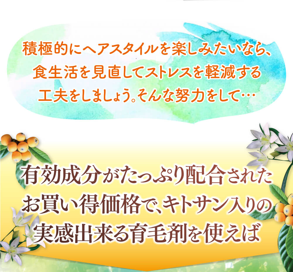 積極的にヘアスタイルを楽しみたいなら、食生活を見直してストレスを軽減する工夫をしましょう。そんな努力をして…有効成分がたっぷり配合されたお買い得価格で、キトサン入りの実感出来る育毛剤を使えば