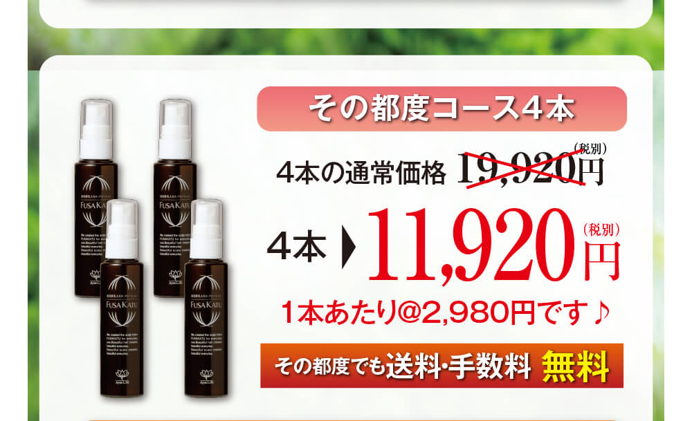 その都度コース4本。4本の通常価格19,920円（税別）のところ、4本で11,920円（税別）1本あたり@2,980円です♪その都度でも送料・手数料無料