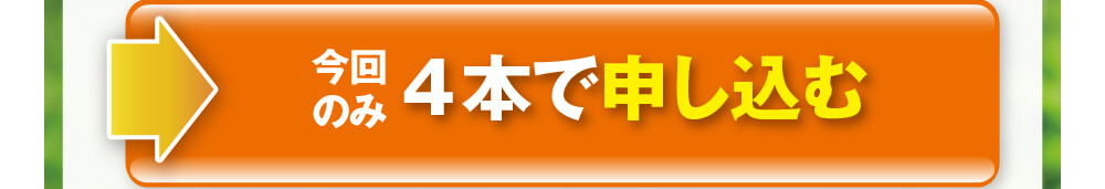 今回のみ4本で申し込む