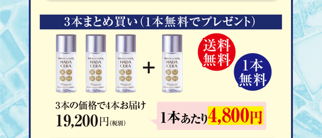 3本まとめ買い（1本無料でプレゼント）3本の価格で4本お届け19,200円（税別・送料無料）（1本あたり4,800円）