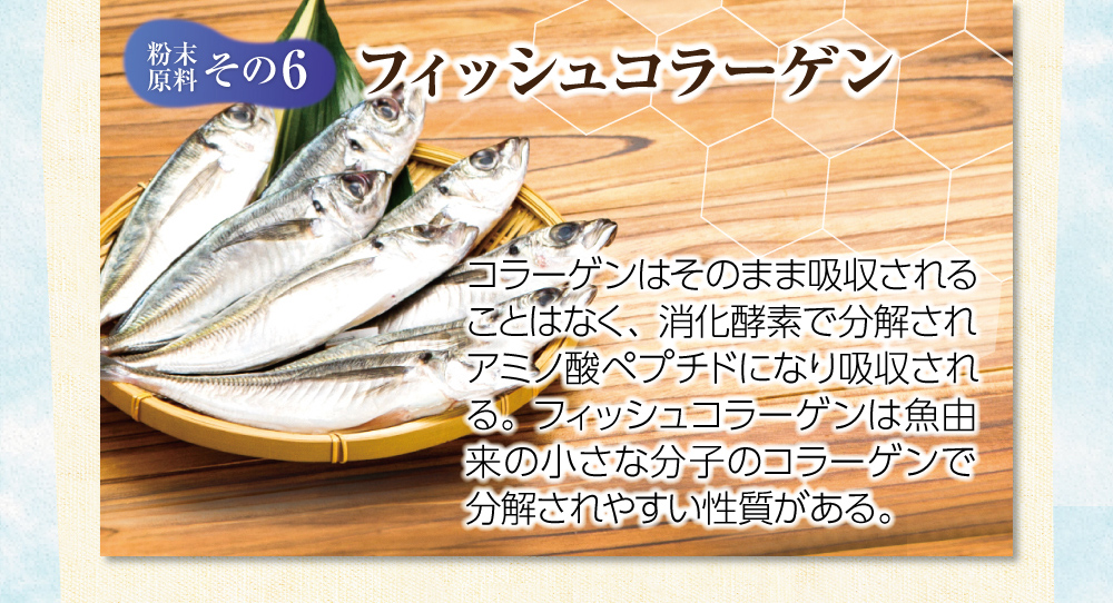 【粉末原料：その６】 フィッシュコラーゲン。コラーゲンはそのまま吸収されることはなく、消化酵素で分解されアミノ酸ペプチドになり吸収される。フィッシュコラーゲンは魚由来の小さな分子のコラーゲンで分解されやすい性質がある。