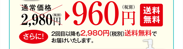 ふきとり洗顔スピードウォッシュ初回特別価格1本960円送料無料。2回目以降も2,980円送料無料でお届けします。