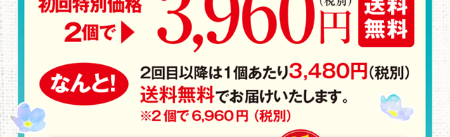 なんと！2回目以降は1個あたり3,480円（税別）