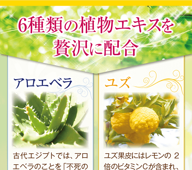 6種類の植物エキスを贅沢に配合♪古来より美肌に愛用されたアロエベラ・ビタミンＣが豊富なユズ